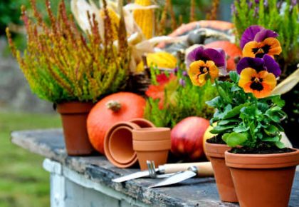 Jardin d'autone