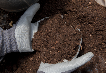 Compost déchets alimentaires