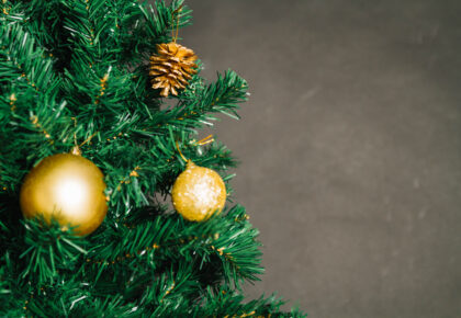 Sapin de Noël avec deux boules